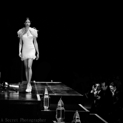 Reportage au Bal de la Croix-Rouge 2013 pour L.RAPHAEL